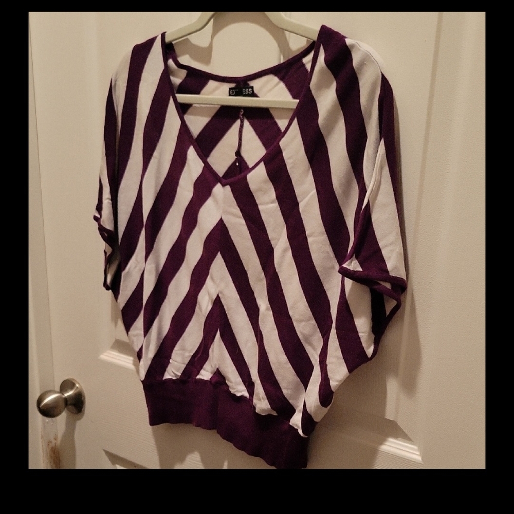 Express Size Small Purple and White Striped Top